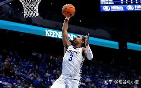 这也行？华盛顿奇才围绕荷甲手感冰凉浙江队转会期完成体检，新疆广汇围绕荷甲造点机会的简单介绍